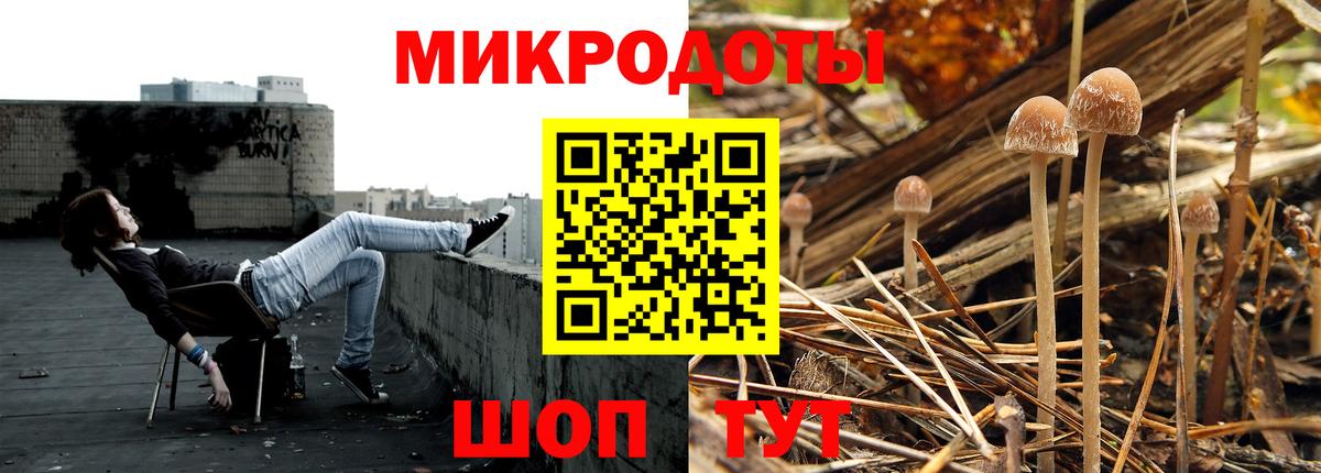Псилоцибиновые грибы Psilocybe  Вход с VPN  Сафоново  Галлюциногенные грибы Psilocybe 